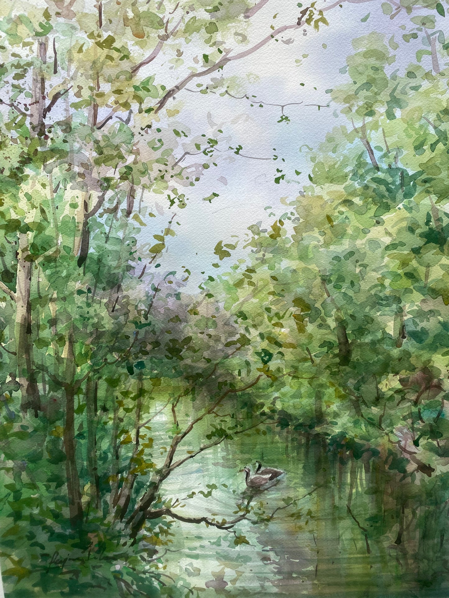 Reflection