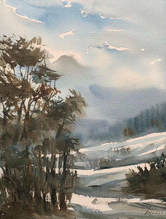 Snow in Feild