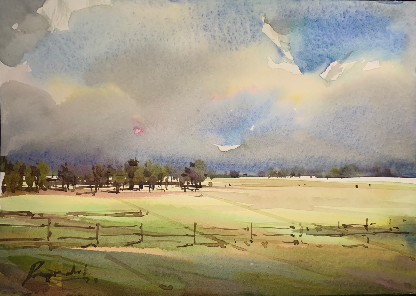 Texas Ranch