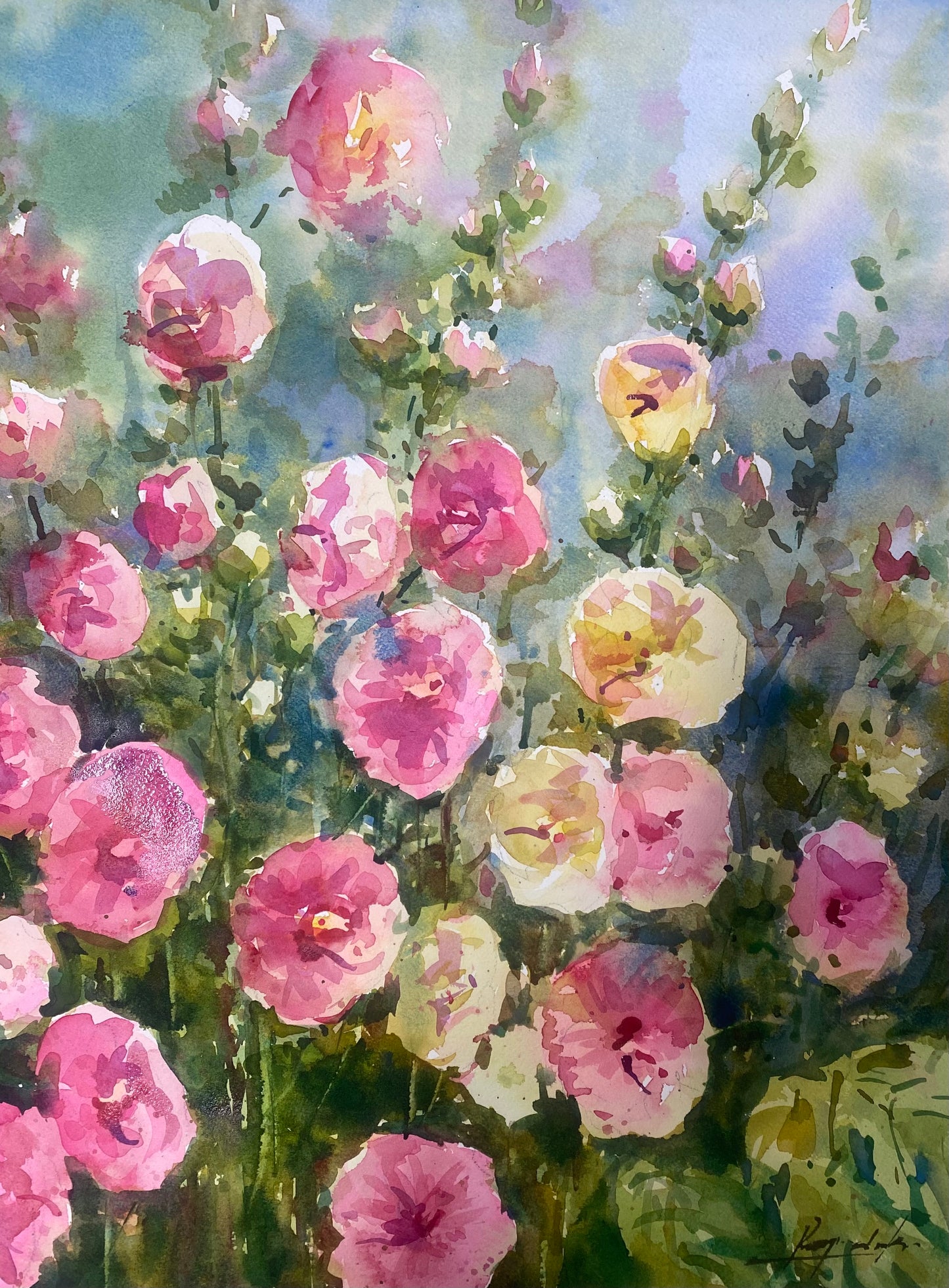 Hollyhocks in Bloom